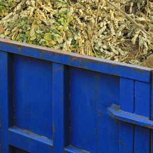 closest dumpster rental - fallen leaves and trees with fall colors